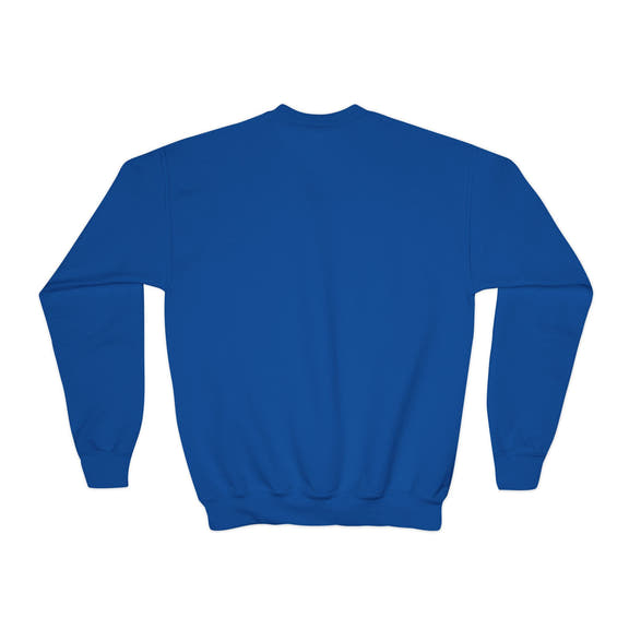 Youth Crewneck Sweatshirt Distressed American Flag with 'WR' Logo - Wicked & Riled Clothing