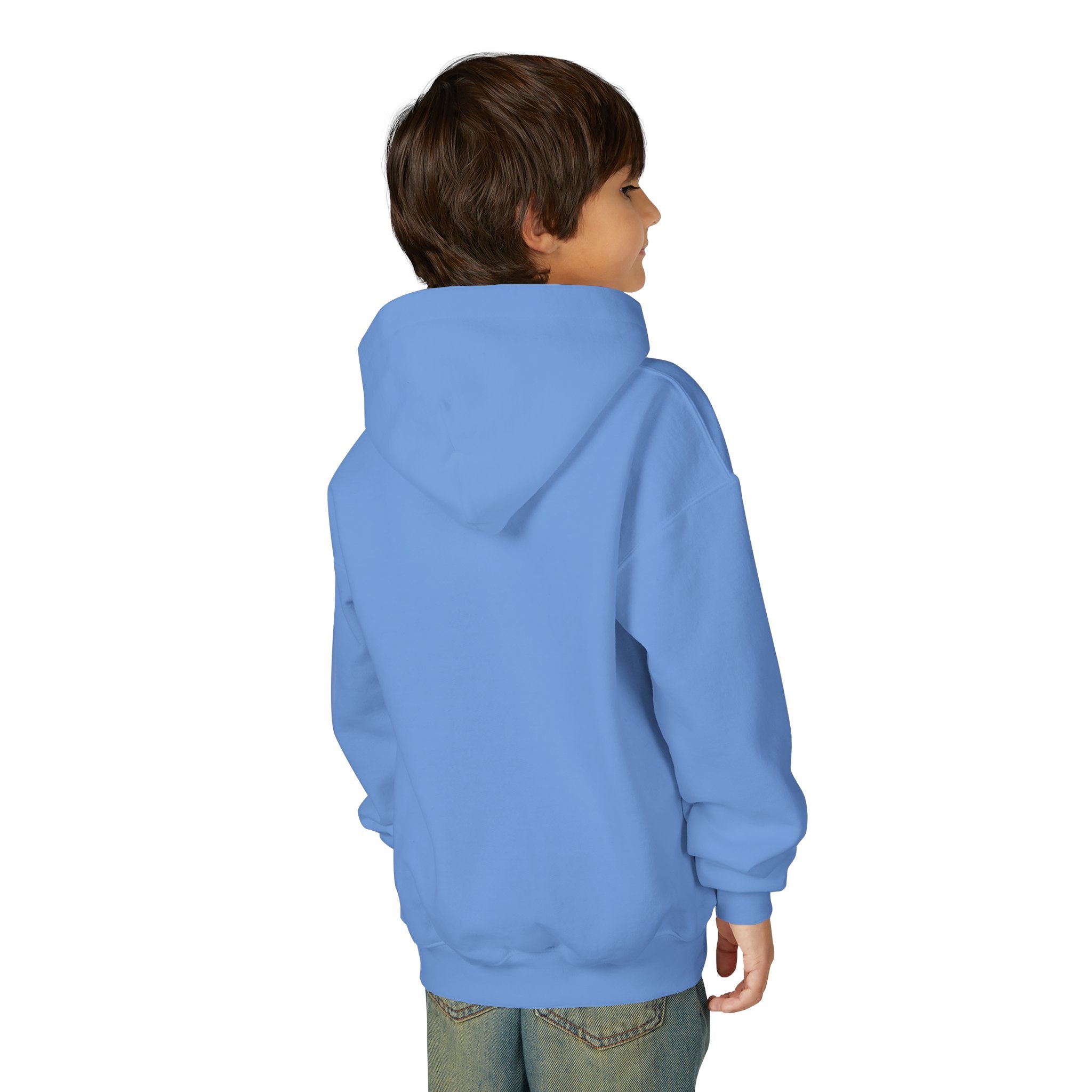 Wicked & Riled Youth Hoodie Patriotic Vintage Logo Sweatshirt - Wicked & Riled Clothing