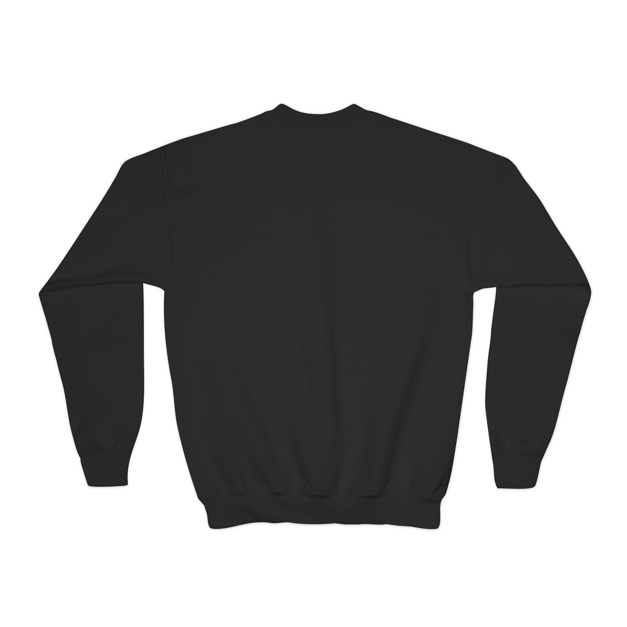 Youth Crewneck Sweatshirt Distressed American Flag with 'WR' Logo - Wicked & Riled Clothing