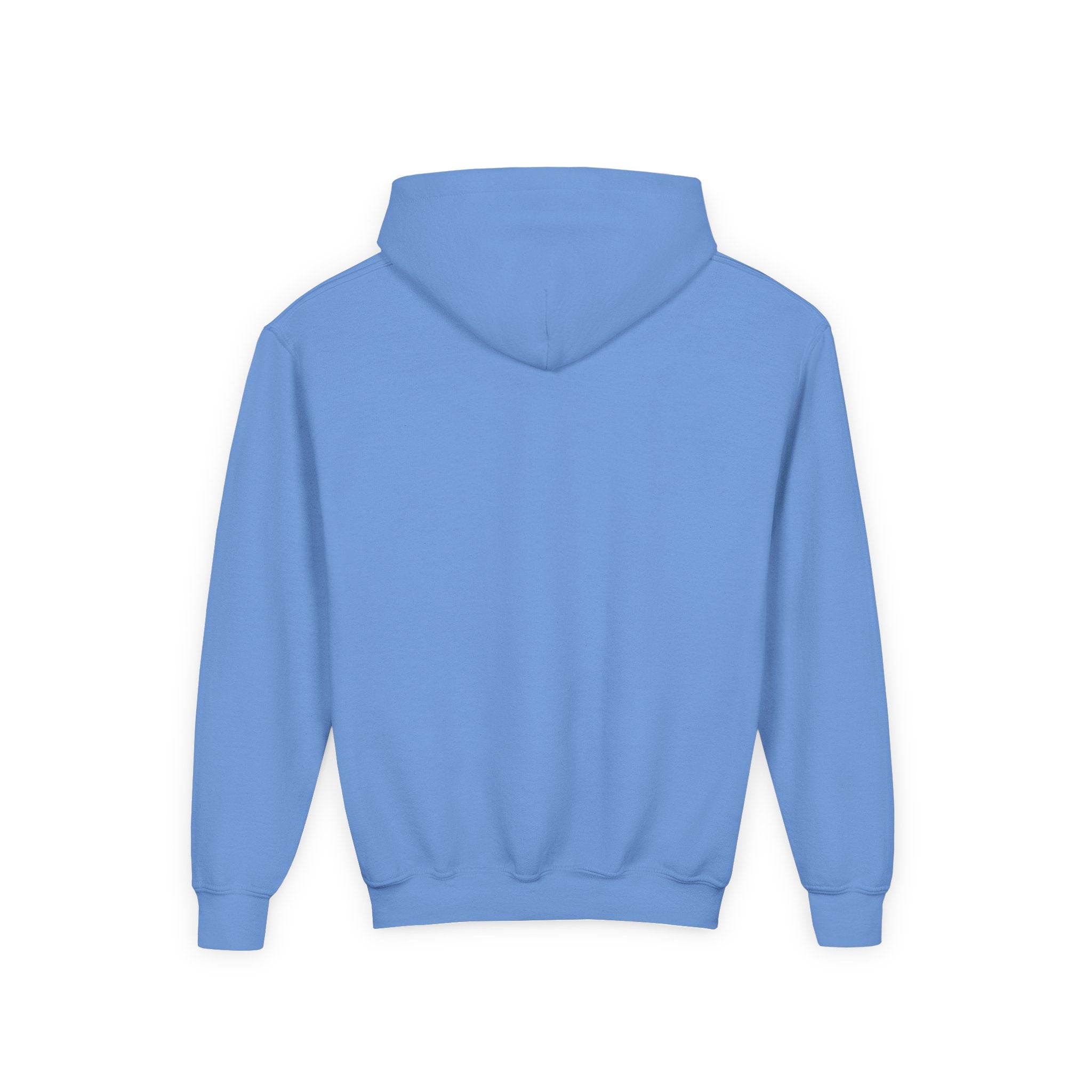 Wicked & Riled Youth Hoodie Patriotic Vintage Logo Sweatshirt - Wicked & Riled Clothing