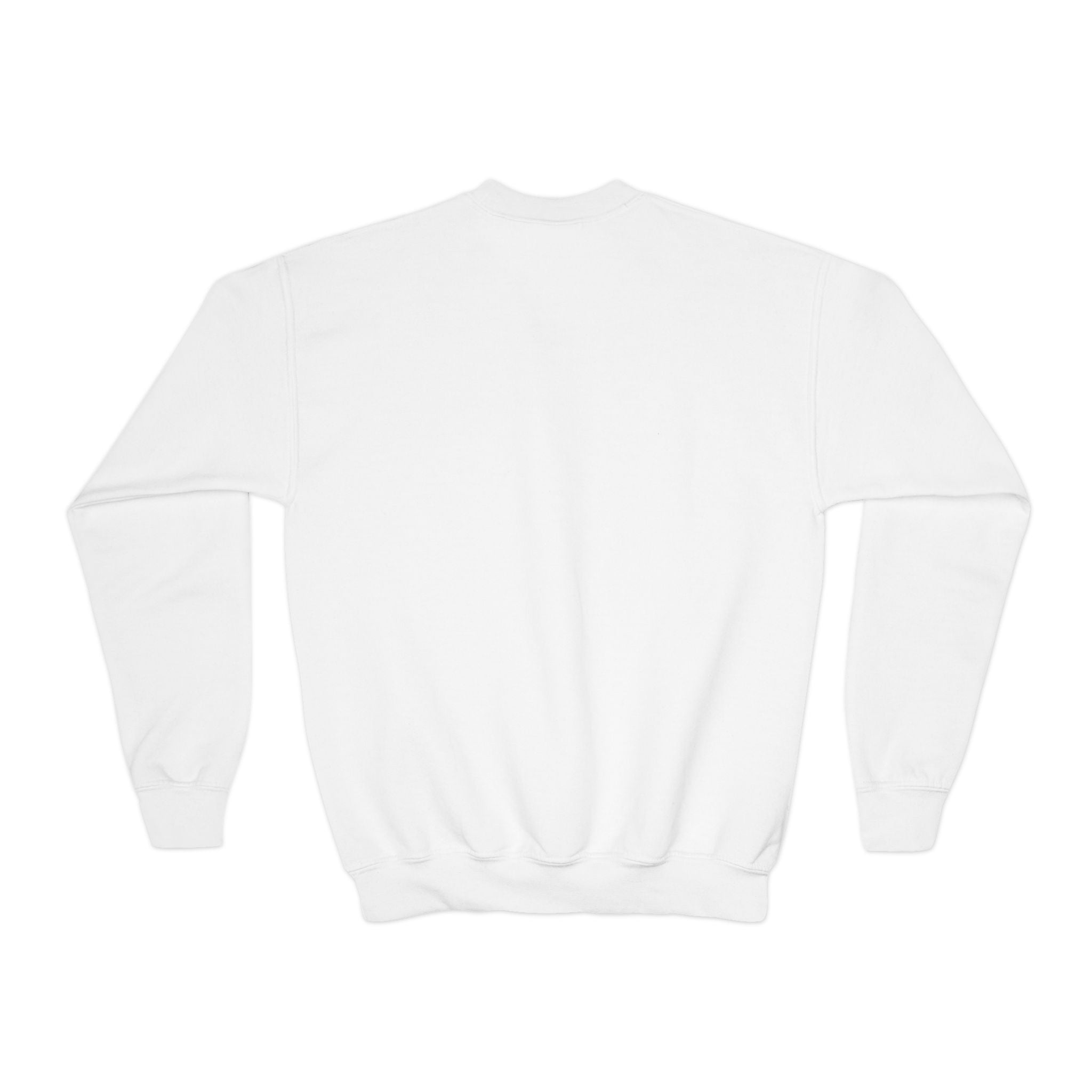 Youth Crewneck Sweatshirt Distressed American Flag with 'WR' Logo - Wicked & Riled Clothing