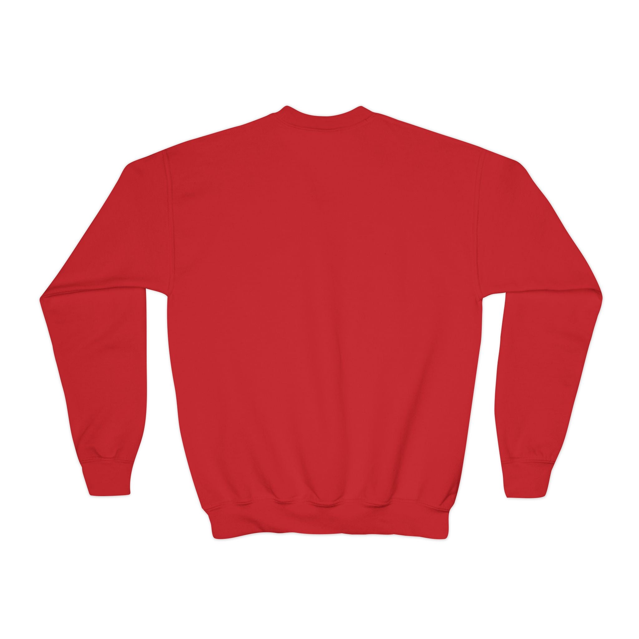 Youth Crewneck Sweatshirt Distressed American Flag with 'WR' Logo - Wicked & Riled Clothing