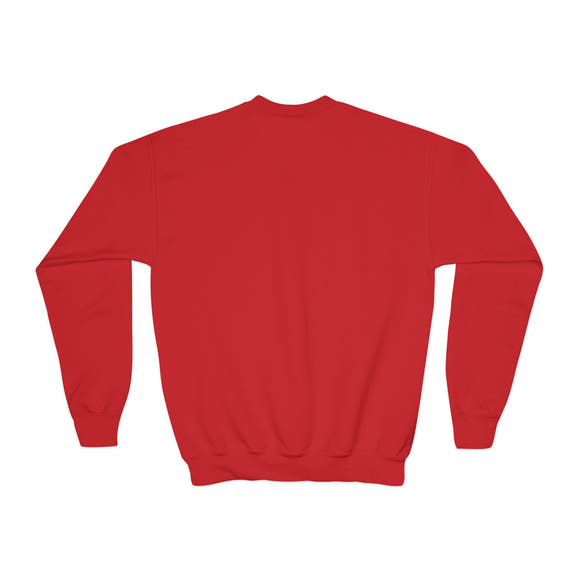 Youth Crewneck Sweatshirt Distressed American Flag with 'WR' Logo - Wicked & Riled Clothing